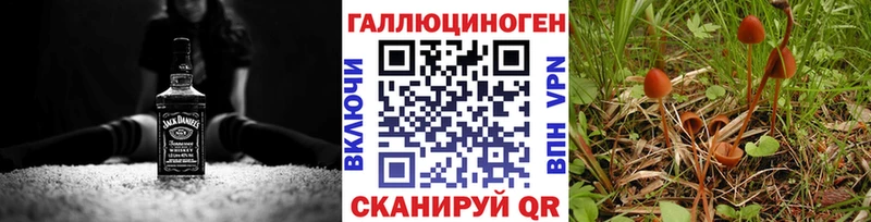 Купить закладки  Солигалич  Галлюциногенные грибы прущие грибы 